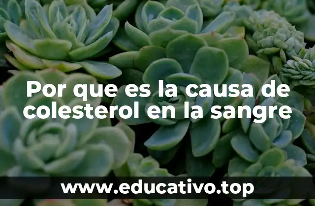 Por que es la causa de colesterol en la sangre