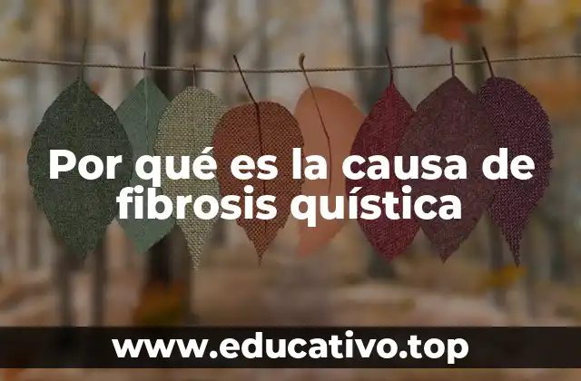 Por qué es la causa de fibrosis quística