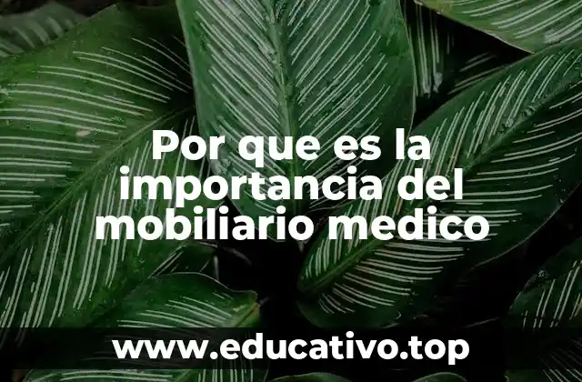 Por que es la importancia del mobiliario medico