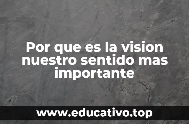 Por que es la vision nuestro sentido mas importante