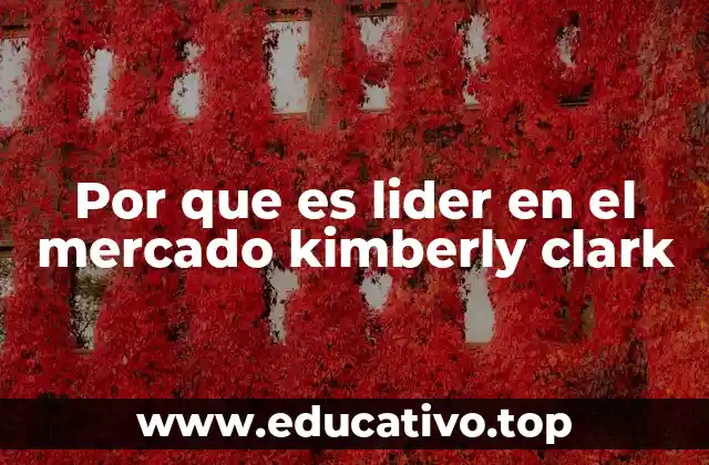 Por que es lider en el mercado kimberly clark