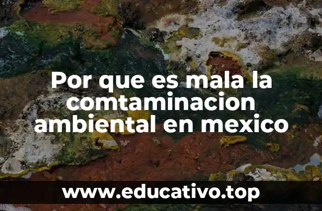 Por que es mala la comtaminacion ambiental en mexico