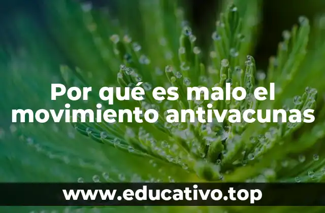 Por qué es malo el movimiento antivacunas