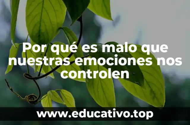 Por qué es malo que nuestras emociones nos controlen