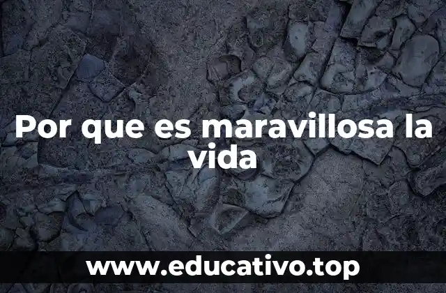Por que es maravillosa la vida