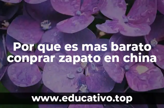 El papel de la economía de escala en la fabricación china