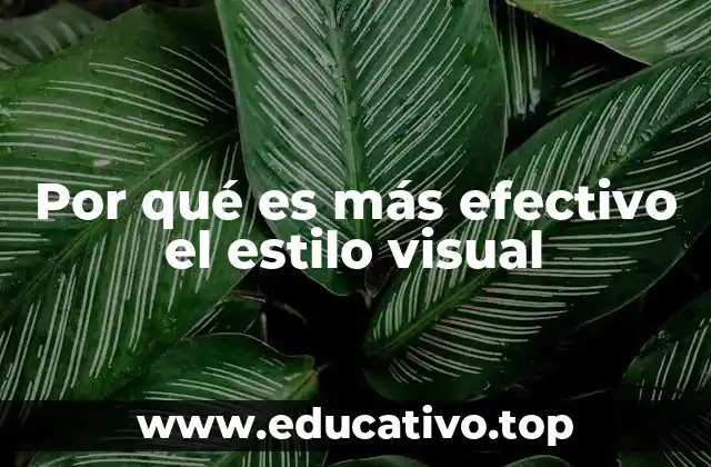Por qué es más efectivo el estilo visual