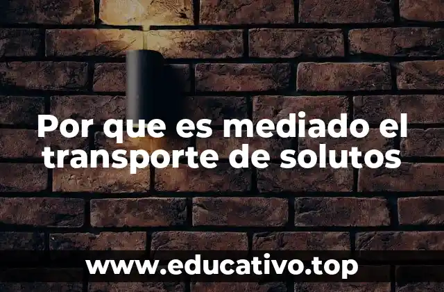 Por que es mediado el transporte de solutos