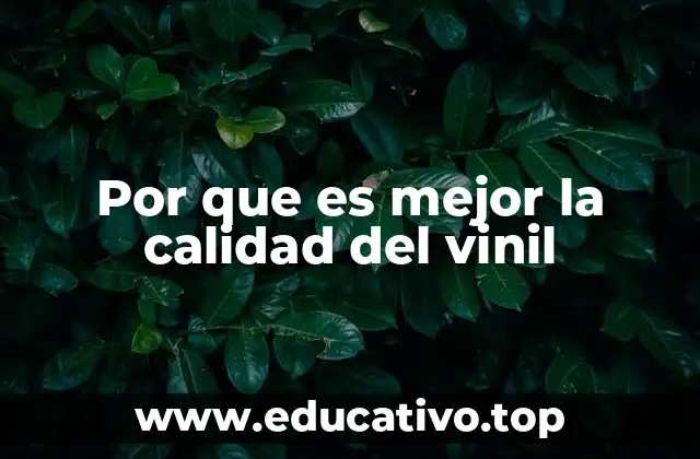 La experiencia auditiva y sensorial del vinil