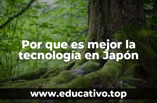 Por que es mejor la tecnología en Japón