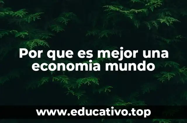 Por que es mejor una economia mundo