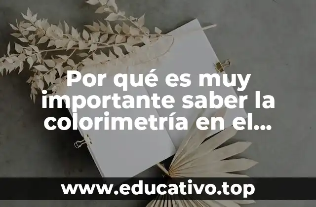 Por qué es muy importante saber la colorimetría en el maquillaje