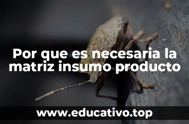 Por que es necesaria la matriz insumo producto