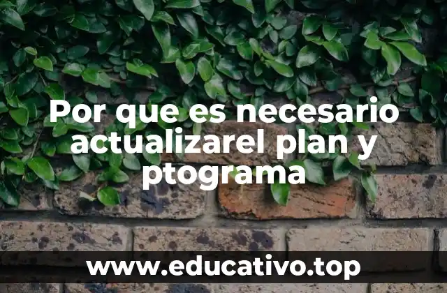 Por que es necesario actualizarel plan y ptograma