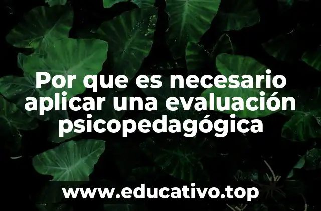 Por que es necesario aplicar una evaluación psicopedagógica