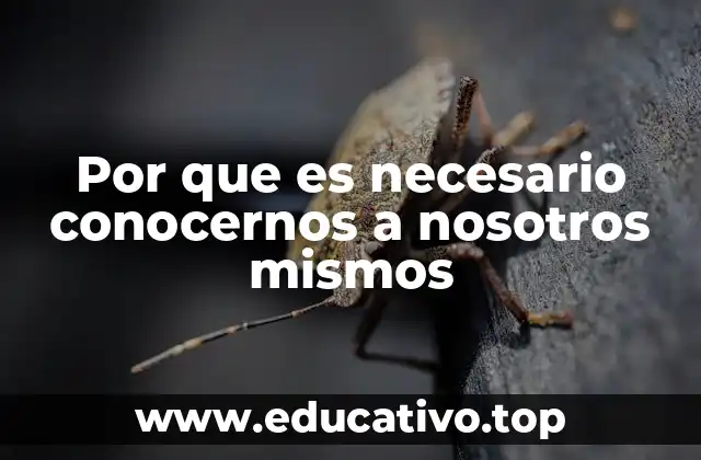 Por que es necesario conocernos a nosotros mismos