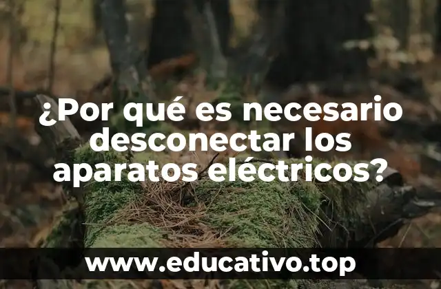 ¿Por qué es necesario desconectar los aparatos eléctricos?