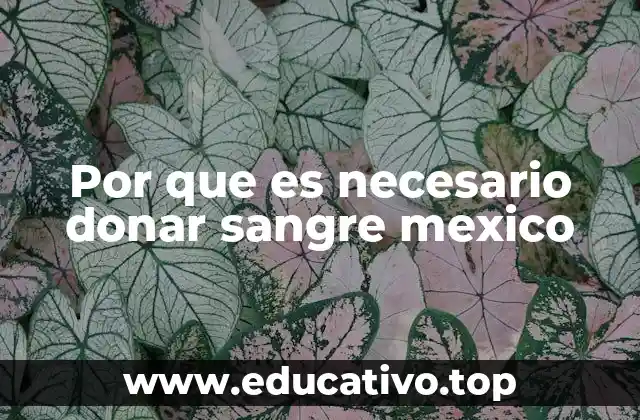 Por que es necesario donar sangre mexico