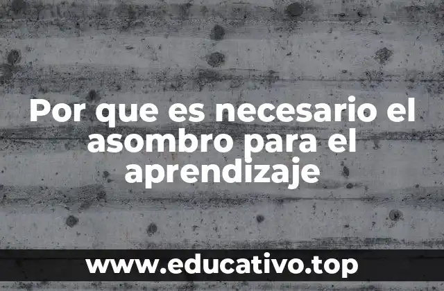 Por que es necesario el asombro para el aprendizaje