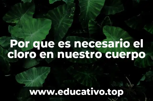 Por que es necesario el cloro en nuestro cuerpo