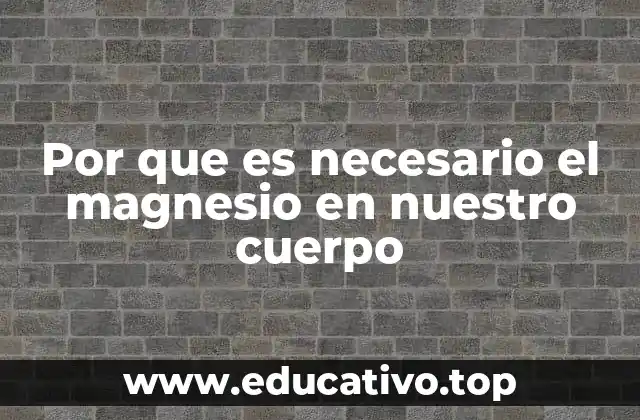 Por que es necesario el magnesio en nuestro cuerpo