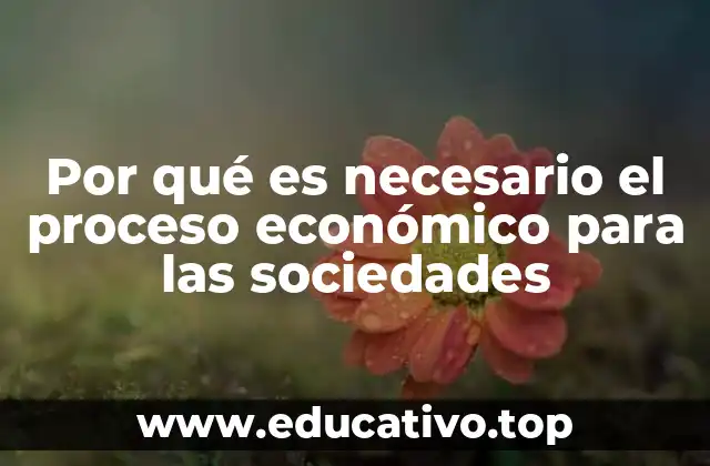 Por qué es necesario el proceso económico para las sociedades