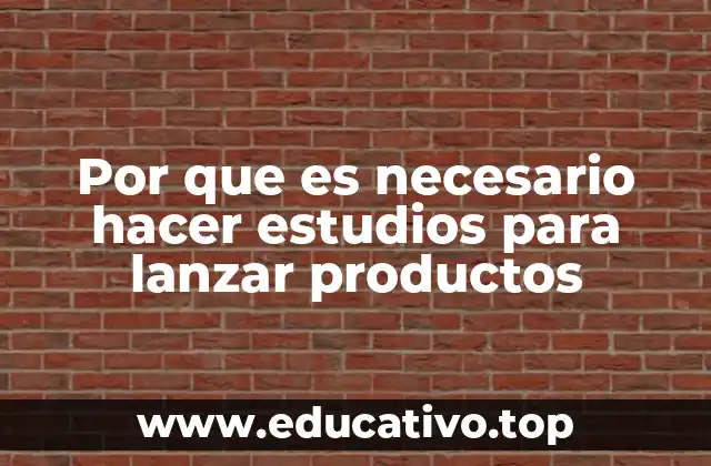 Por que es necesario hacer estudios para lanzar productos