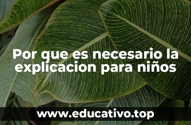 Por que es necesario la explicacion para niños