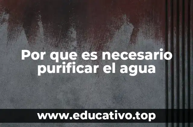Por que es necesario purificar el agua