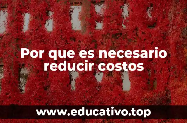 Por que es necesario reducir costos