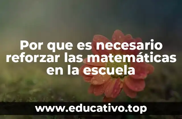 Por que es necesario reforzar las matemáticas en la escuela