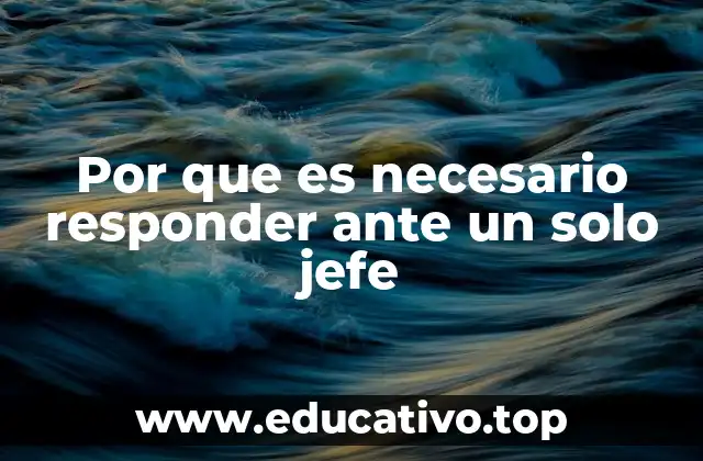 Por que es necesario responder ante un solo jefe