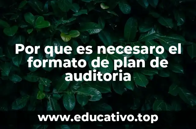 Por que es necesaro el formato de plan de auditoria
