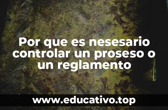 La importancia de la supervisión en el cumplimiento de normas y procedimientos