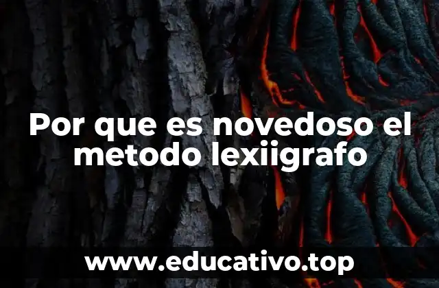 Por que es novedoso el metodo lexiigrafo