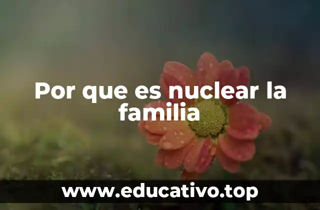 Por que es nuclear la familia