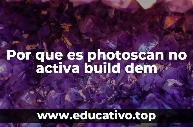 Por que es photoscan no activa build dem