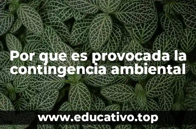 Factores que contribuyen al deterioro de la calidad del aire