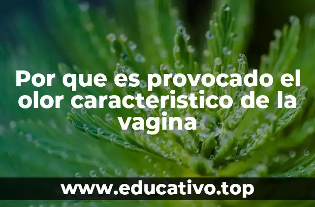 Por que es provocado el olor caracteristico de la vagina
