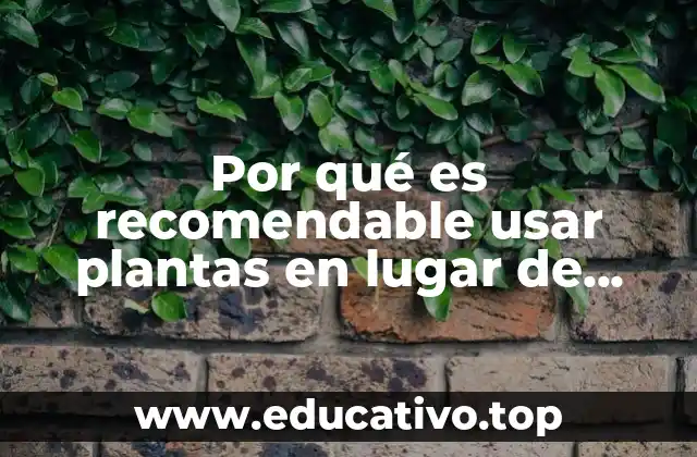 Por qué es recomendable usar plantas en lugar de aromatizantes