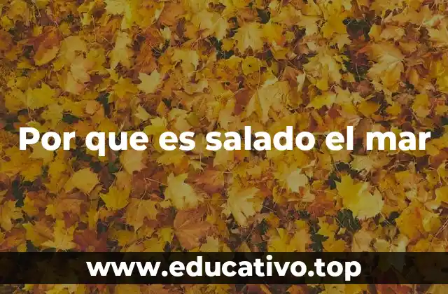 Por que es salado el mar