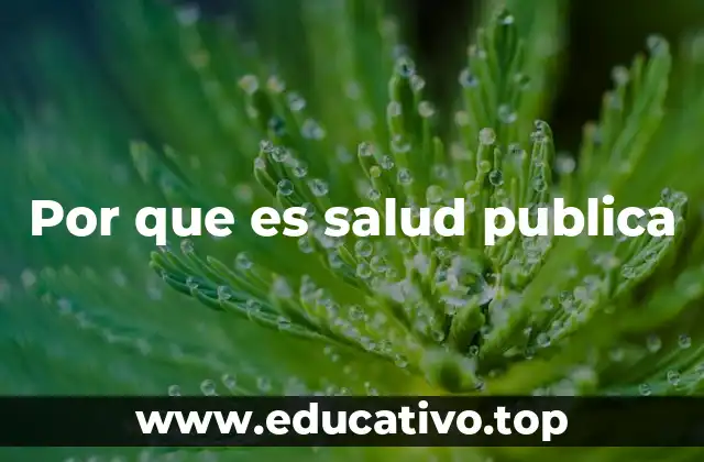 Por que es salud publica