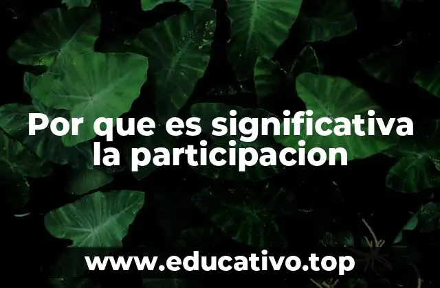 Por que es significativa la participacion