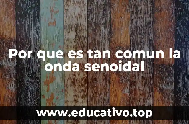 Por que es tan comun la onda senoidal