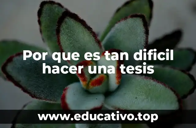 Las exigencias detrás de una tesis doctoral