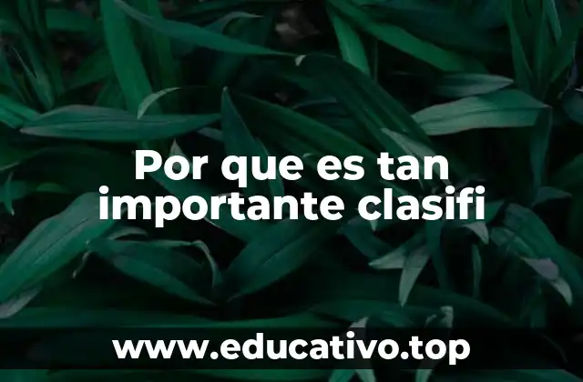 La importancia de organizar para optimizar procesos