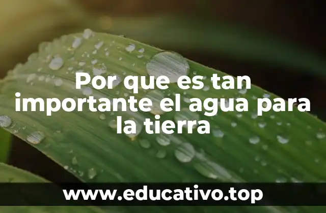 Por que es tan importante el agua para la tierra