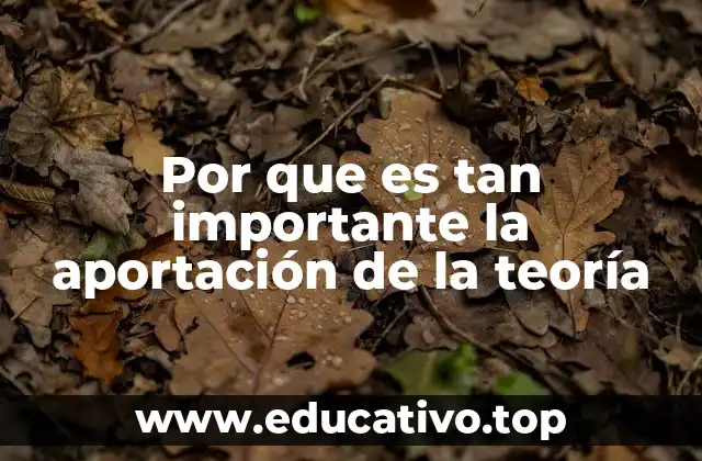 Por que es tan importante la aportación de la teoría