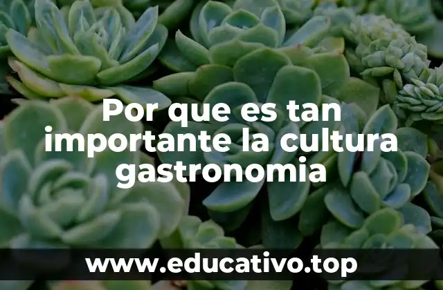 Por que es tan importante la cultura gastronomia