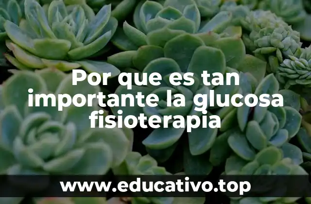 Por que es tan importante la glucosa fisioterapia